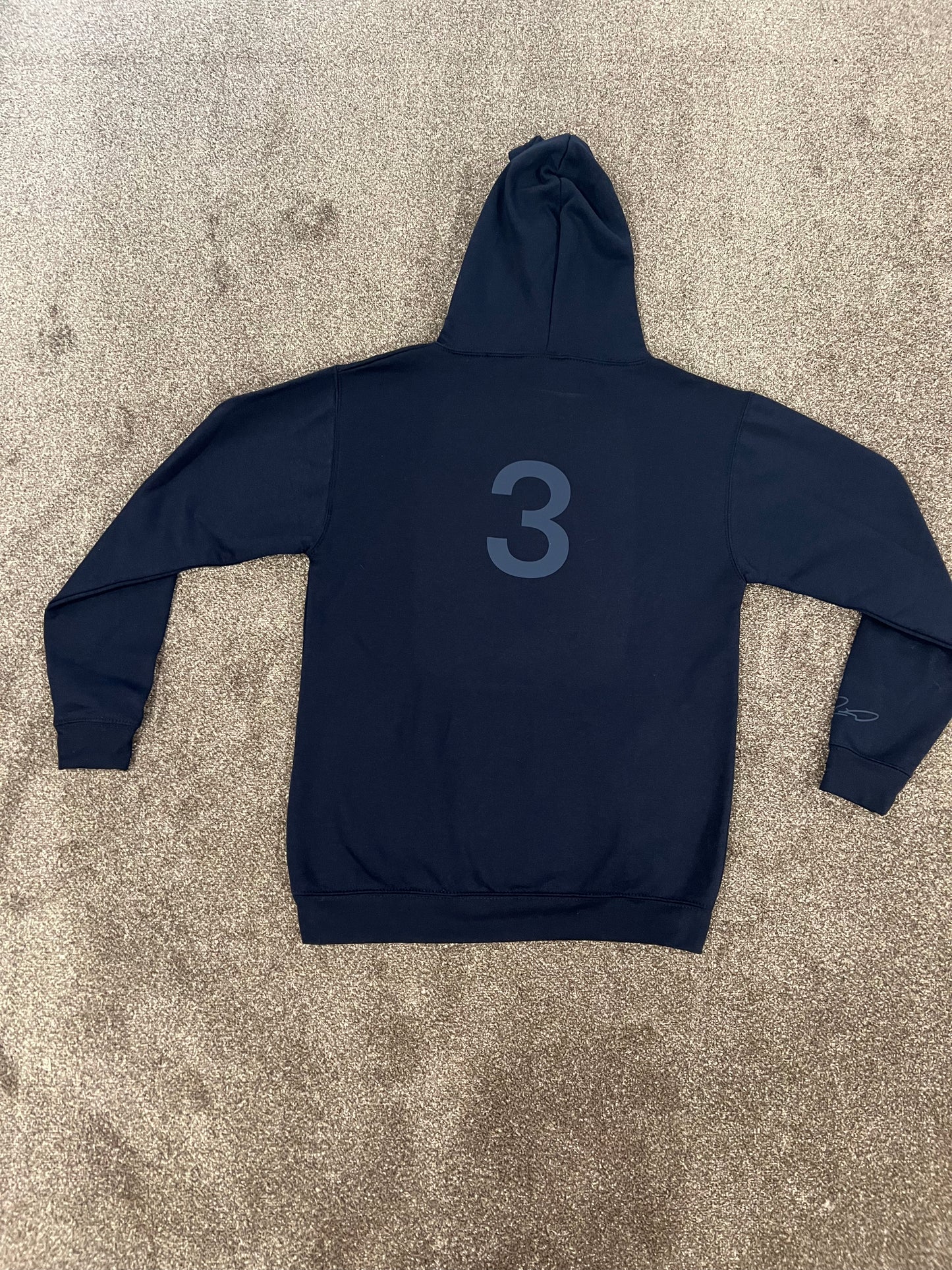 Daniel Ricciardo AlphaTauri inspired Hoodie